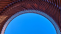 森林舞会官网-追求康健,你我一起生长